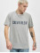 Calvin Klein T-paidat Logo harmaa