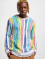 Carlo Colucci Sweat & Pull RH multicolore