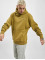 Champion Rochester Hoodies Rochester grøn