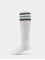 Dickies Chaussettes Lutak blanc