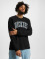 Dickies Longsleeve Aitkin black