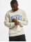 Dickies Pullover Aitkin grau