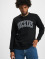 Dickies Pullover Aitkin schwarz