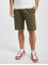 Dickies Shorts Mapleton grün