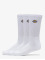 Dickies Socken Valley Grove weiß