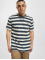 Dickies T-paidat Rivergrove sininen