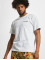 Dickies T-paidat Cleveland valkoinen