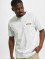Dickies T-Shirt Ruston  blanc
