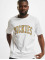 Dickies T-Shirt Aitkin  blanc