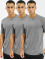 Dickies T-Shirt 3 Pack grau
