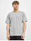 Dickies T-Shirt Mapleton  gris