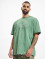 Dickies t-shirt Union Springs SS groen