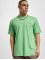 Dickies T-Shirt Mapleton  grün