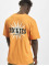 Dickies T-Shirt Kelso SS orange