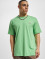 Dickies T-Shirt Mapleton  vert