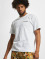 Dickies T-Shirt Cleveland white