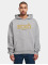 Ecko Unltd. Sudadera STICKS gris