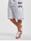 Fubu Pantalón cortos Varsity Pinstriped Mesh blanco
