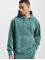 Hugo Hoodie Wefade Logo grön