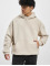 Jack & Jones Hoodies Rushrubber beige