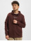 Jack & Jones Hoodies Archie brun