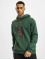 Jordan Hoody Essentials Grafik Fleece grün