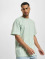 Karl Kani Camiseta Small Signature Essential verde