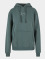 Karl Kani Hupparit Small Signature Essential vihreä