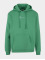 Karl Kani Hupparit Small Signature Essential vihreä