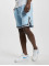 Karl Kani shorts Small Signature Essential Mesh blauw