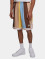 Karl Kani Shorts Varsity Striped Mesh blå
