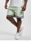 Karl Kani shorts Small Signature Essential Mesh groen