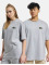 Lacoste T-Shirt Logo grey