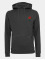 Mister Tee Sweat capuche Rose gris