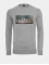 Mister Tee trui Can´t Hang With Us Crewneck grijs