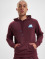 New Balance Hoody Essentials Stacked Rubber New rood