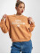 New Balance Jersey Essentials Graphic Fleece marrón