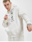 Nike Hoodie Club Logo beige