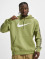 Nike Hoodie Nsw Repeat grön