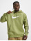 Nike Hoody Repeat Sw Flc Po grün