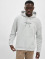 Only & Sons Hoodie Lesclassiques grey