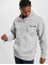 Only & Sons Hoody Tylan Relaxed Mountain grijs