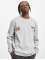 Only & Sons Pullover Dylan Scarface Crew grey