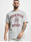 Puma T-Shirt Team Graphic grau