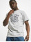 Puma T-Shirt Team Graphic II grey
