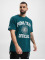 Puma T-Shirt Team Graphic grün
