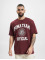 Puma T-Shirt Team Graphic rot