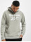 Reebok Sweat capuche Identity French Terry OTH Big Logo gris