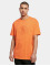 Southpole T-Shirt 3D Logo orange