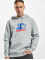 Starter Hoodie Two Color Logo grey